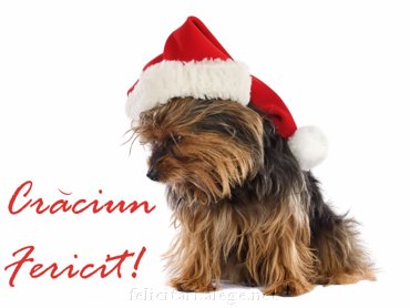 Craciun Fericit!